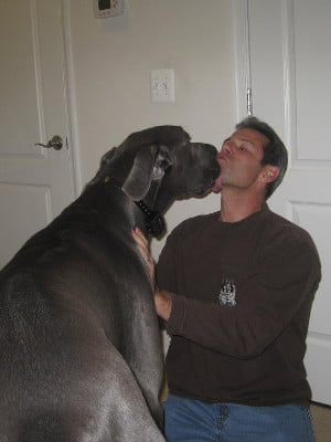 Mike B getting kissed by dog