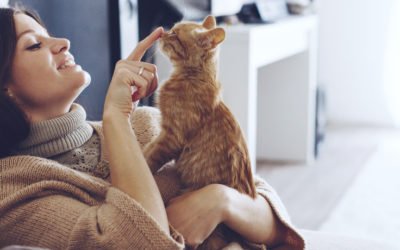 Benefits of In-Home Pet Care