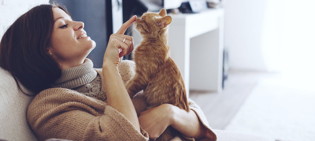 Benefits of In-Home Pet Care