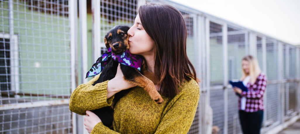 woman adopting dog