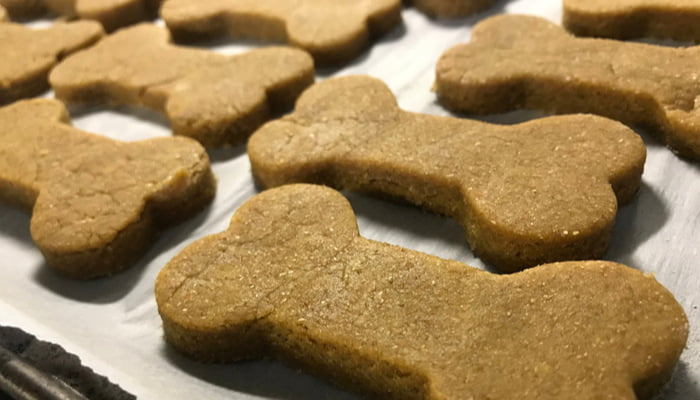 Close up of homemade halloween dog treats on a parchment paper