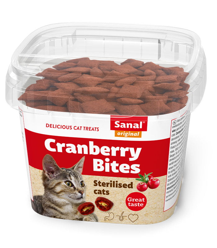 delectable cranberry cat treats for christmas in a container