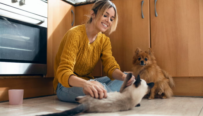 Beautiful young woman playing with her cute lovely animals sitting on the floor in the kitchen at home during winter
