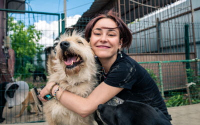 Fur-Ever Homes Await: Discover the Joy of Pet Adoption