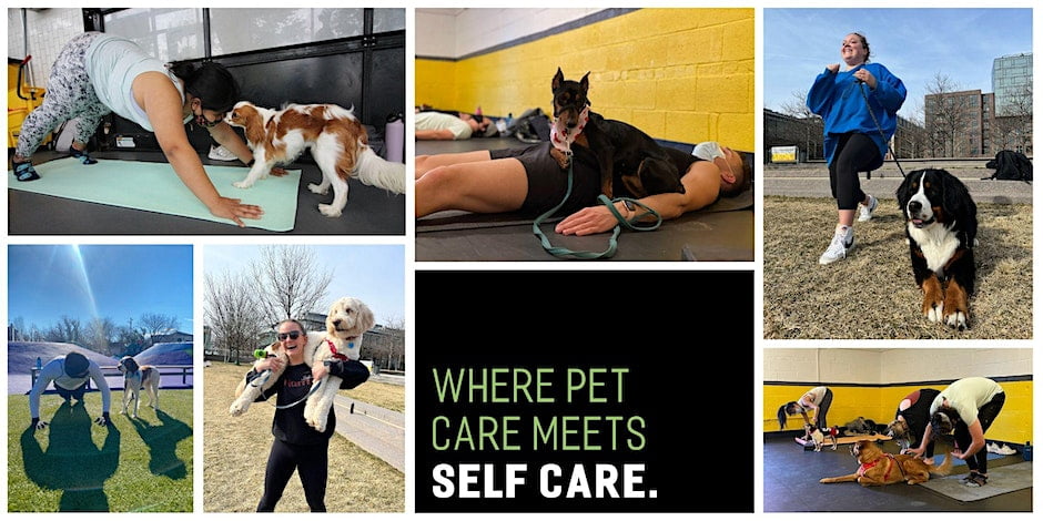 Barkfit doogy yoga event - where pet care meets self care