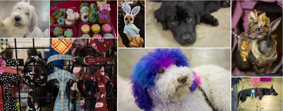 the ultimate pet lover's paradise - Super Pet Expo 